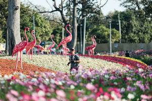 BIB: 
                            <button type="button" onclick="openModal(27344315)" class="btn btn-primary btn-sm float-right btn-popup" data-toggle="modal" data-target=".modal-high-quality">
                        <i class="fas fa-shopping-cart"></i> Add to Cart
                    </button>
                                            <button type="button" onclick="isThisMe(27344315, true)" class="btn btn-success btn-sm float-right btn-popup btn-isme hidden" data-toggle="tooltip" data-placement="bottom" title="นี่คือรูปของคุณใช่ไหม คลิกที่นี่เพื่อเอาเข้าอัลบั้ม">
                        <i class="fas fa-plus"></i> Add to album
                    </button>
                    <button type="button" onclick="isThisMe(27344315, false)" class="btn btn-warning btn-sm float-right btn-popup btn-isnotme hidden">
                        <i class="fas fa-ban"></i> Remove from album
                    </button>